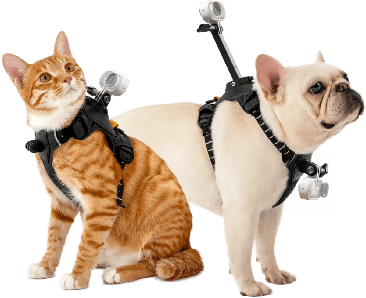 Insta360 Pet Harness Mount Size S