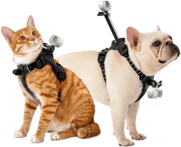 Hovedbilde Insta360 Pet Harness Mount Size S