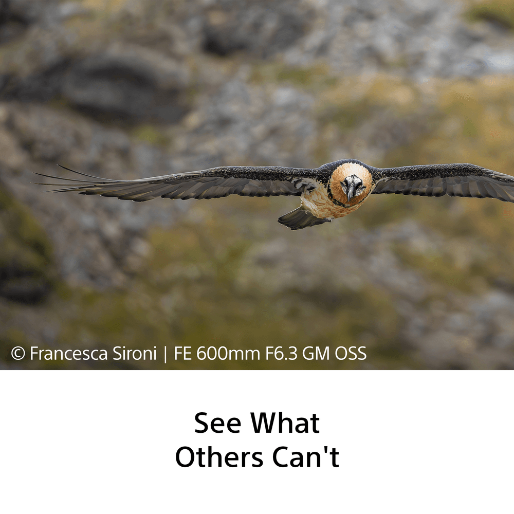 Sony FE 600mm F6.3 GM OSS