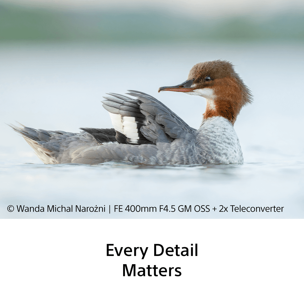Sony FE 400mm F4.5 GM OSS