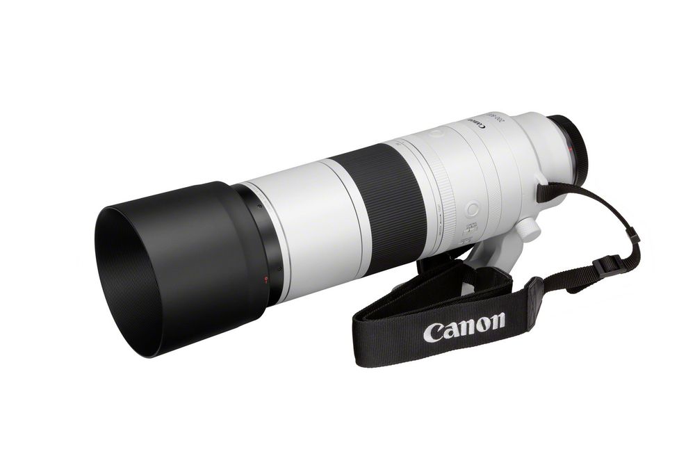 Canon RF 200-800mm f/6.3-9 IS USM 