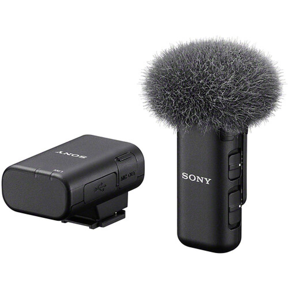 Sony ECM-W3S